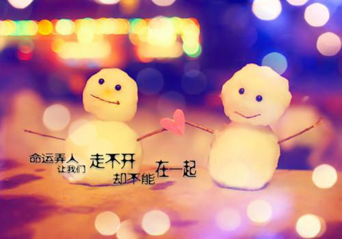 谢知晓谢知宇沈星辞小说叫什么名字 晓知星辞电子书