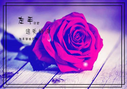 萧煜泽小说 一胎八宝,我胆战心惊小说萧煜泽