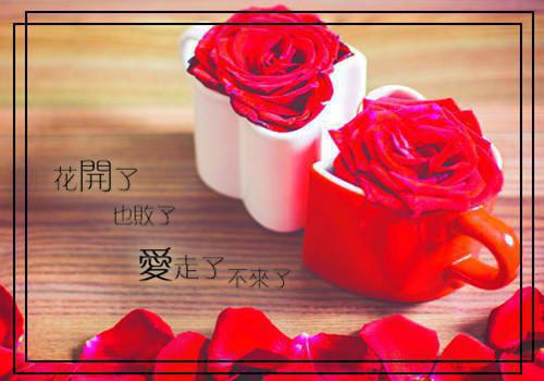 顾清欢傅行舟林昭然是哪部小说 杀公婆案记忆公布后，老公悔疯了免费阅读小说