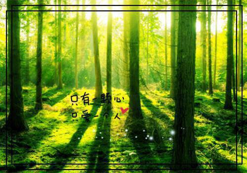 顾远舟陆从闻白欢颜温之瑶最新章节列表 何须相思煮余年顾远舟陆从闻白欢颜温之瑶小说