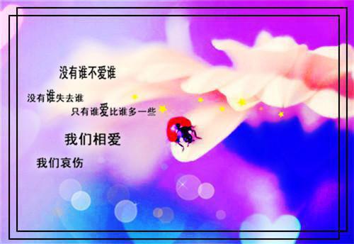 挽烟厉决免费阅读最新章节 灰烬里的诗免费阅读小说