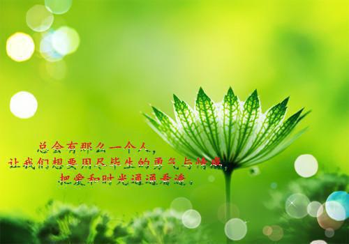 班花江瑜小说叫什么 攻略者大逃杀小说最新章节列表