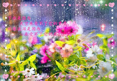 林曦孟瑶最新章节内容 全家偏爱假千金小说正版免费阅读