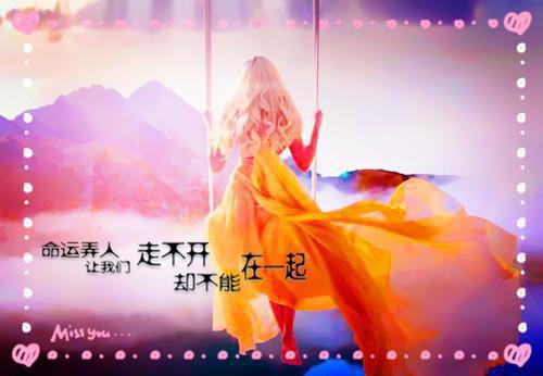 沈昭沈振海周月娥林秀琴沈煜小说结局 弟弟遇险时，我埋头睡觉：后续小说沈昭沈振海周月娥林秀琴沈煜免费阅读