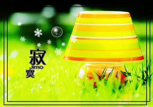 舒青傅宴小说叫什么名字 穿书后买个反派来致富免费阅读小说