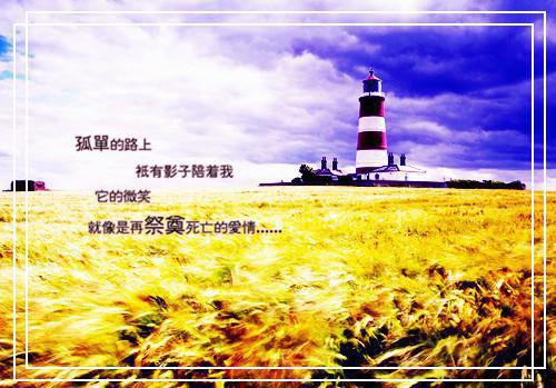 王婉柔周继安陈秀荷免费阅读 重回七零，我成了奶奶的爽文系统小说完整版免费