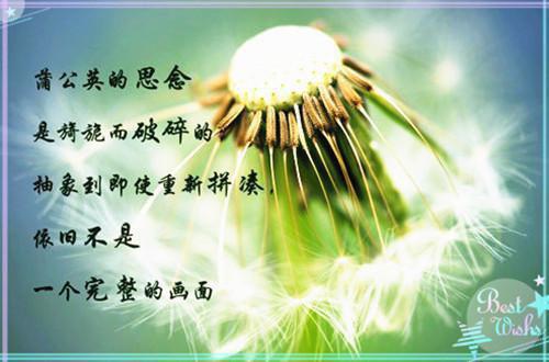 林芷沈晏白小蕊免费阅读 老公要为亡母守墓五年，我直接离婚知乎林芷沈晏白小蕊