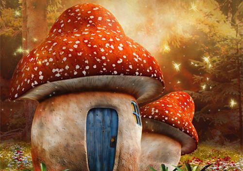 齐薇榆傅归梵孟清染小说叫什么名字 蒙面钢琴家齐薇榆傅归梵孟清染大结局