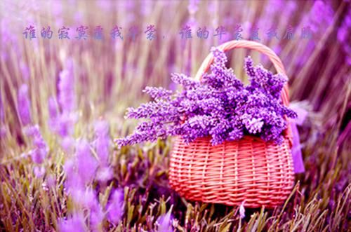 王晓萌唐悠张凡凡南湘的小说叫什么 消失的室友：后续by青衫客