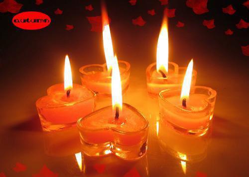 江叙白宋知意最新章节更新状态 江叙白宋知意小说最新章节列表