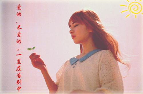 顾晋臣沈琳苏的小说叫什么 沈琳苏顾晋臣小说全文阅读