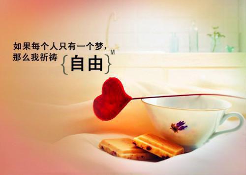 允妙黎向寒庭叶时乖乖林乔小说名字 向寒庭允妙黎笔趣阁