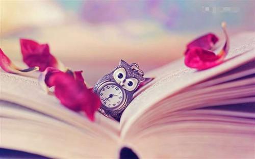 我被乙方污蔑捞女，转身我叫甲方亲哥（沈云湘林菀茵）全文免费_（沈云湘林菀茵）我被乙方污蔑捞女，转身我叫甲方亲哥后续阅读（沈云湘林菀茵）