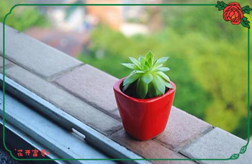 宋婉意霍知言陆潇潇小说结局 女主抢我男朋友，我看到了弹幕小说完整版免费