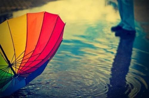 扎西白玛桑吉绛秋的小说叫什么 佛诵余生护格桑知乎小说