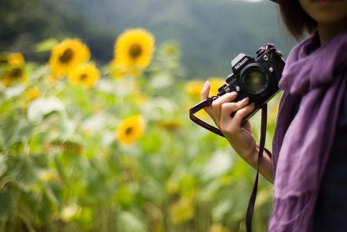流光错系断蓬之舟：结局+番外高口碑(沈煜谢晚烟)完本小说_热门小说排行流光错系断蓬之舟：结局+番外高口碑(沈煜谢晚烟)
