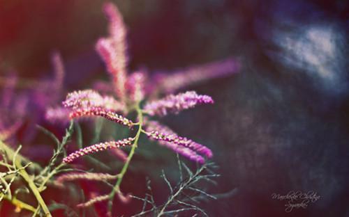 宋哲小怡最新章节更新状态 良人已负,心火难熄电子书