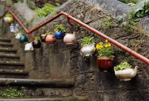 柳漓月秦衍小说结局 漓月短篇小说