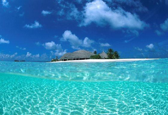 江序景如烟笔趣阁免费阅读 不就给竹马孩子喂个奶,至于离婚吗小说正版免费阅读