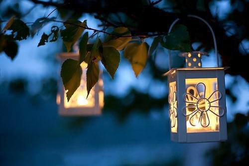 商泓宇阮汐苏眠小说叫什么 阮汐商泓宇（佚名）免费阅读