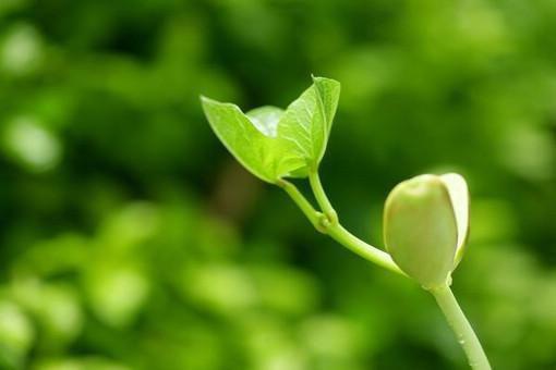 拂冬小说笔趣阁最新章节 楚门的青楼小说最新章节列表