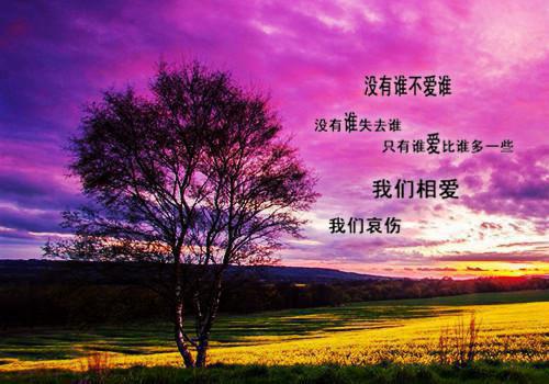 萤火眠于旧夏天最新小说出炉（唐诗窈夏祁帆）全文阅读