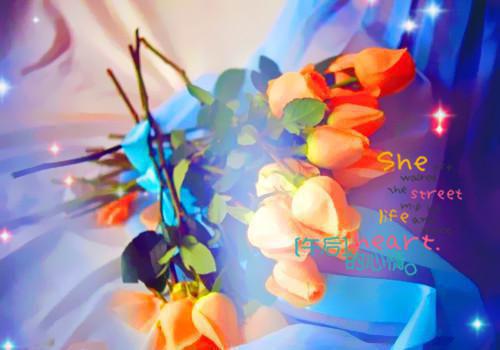 林芋江黎贺屿归笔趣阁 孤屿生林(扑街)免费阅读