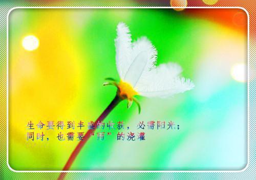 乔知婉许译的小说叫什么 乔知婉许译短篇小说