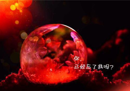 哥嫂订婚前夕，爸妈把我送去当彩礼最新章节列表_哥嫂订婚前夕，爸妈把我送去当彩礼全文免费阅读(露露盛岚)