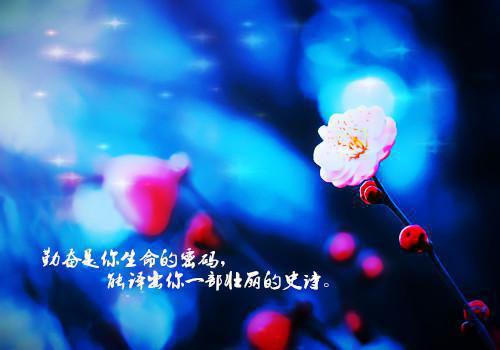 袁诗文程宇轩最新章节列表 重生后,我用冒犯艺术反治妈妈未删减小说