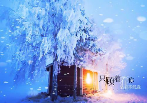 李望舒季怜叫什么小说 恶毒女配重生后,阴鸷大叔宠撩上瘾免费阅读小说