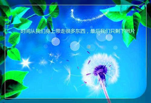 杨琳沈巍顾雪桐免费阅读最新章节 学区房被占后，我杀疯了免费阅读全文