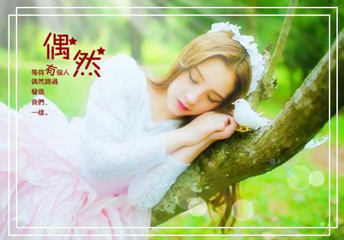 温曦宁陆瑾霖的小说叫什么 温曦宁陆瑾霖知乎小说