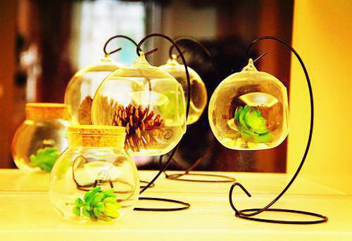 林晚周浩王桂芬和谁在一起了 重生后,让害我孩子的恶婆婆血债血偿电子书