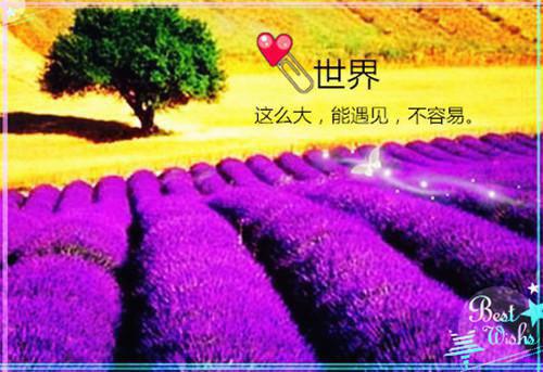 温曦宁陆瑾霖的小说叫什么 温曦宁陆瑾霖笔趣阁