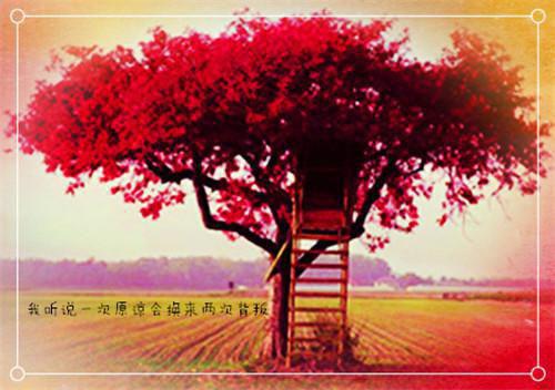 逼我给青梅打官司，离婚你哭什么(陈白芷徐墨怀)小说最新章节阅读_逼我给青梅打官司，离婚你哭什么陈白芷徐墨怀_全本小说免费阅读