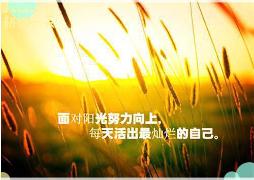 完结 夏语栀祁墨寒的情感历程引发热议等风等雨等不到你大结局隐藏剧情逐渐揭晓!