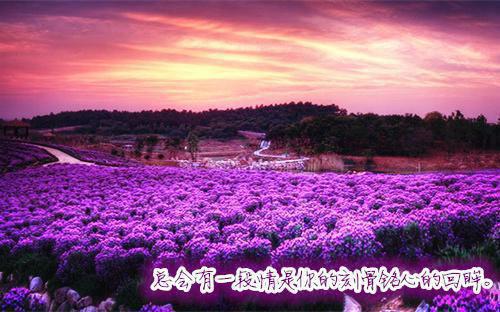 江城江昊林允泽陆锦瑶什么关系 弟弟被送学乖惨死后，精神病哥哥杀红了眼最新章节免费阅读