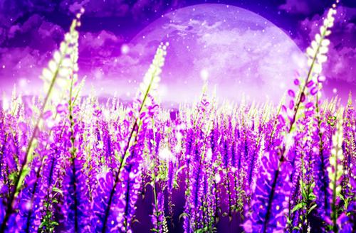 苏明月顾彦琛秦暖暖笔趣阁免费阅读 花开花落情已逝男主苏明月顾彦琛秦暖暖小说