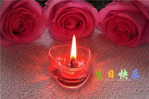 谢楚薇林秉易的最新章节小说 谢楚薇林秉易免费阅读