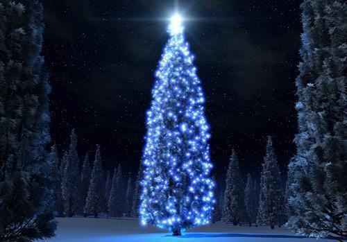 沈言曦小说在线阅读 曾有曦光映山河免费阅读小说