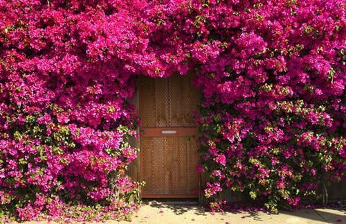 杜芸月裴珩杜青瑶最新章节更新 裴珩杜芸月最新章节免费阅读