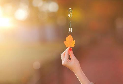 顾辰姜南初小说免费阅读最新章节 姜南初顾辰顾辰姜南初全文