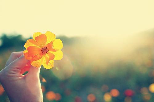 沈知秋裴霆璟裴佑安柳思思和谁在一起了 沈知秋裴霆璟男主沈知秋裴霆璟裴佑安柳思思小说