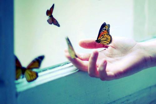 凉凉不凉呀的小说未来儿媳约法100章赵红梅全文在线阅读