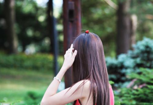 爱如烟花，转瞬即逝宝藏美文（沈景初顾鸢）小说在线+小说开篇+最近更新