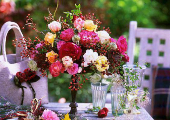 桑澈陆敬尧苏郁意最新章节内容 系统让我男扮女装那些年小说正版免费阅读