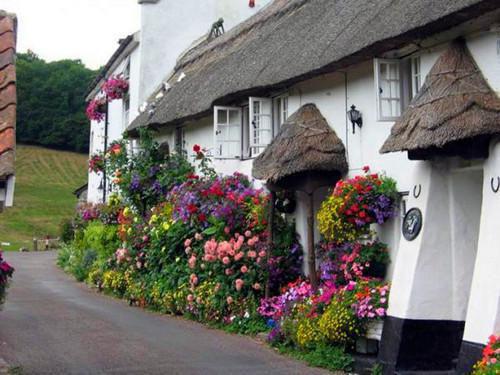 温萤言泽修免费阅读最新章节结局 风起西窗人不归小说免费阅读全文最新章节