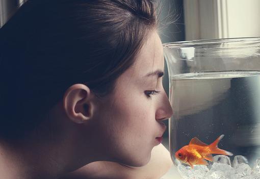 许蓁周傅珩最新章节内容 爱于迟暮时消散笔趣阁