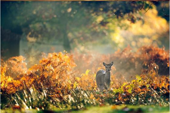 姜梨顾沉白徐知晚大结局后续 死后五年,我成了男友的婚礼主持人原著在线阅读